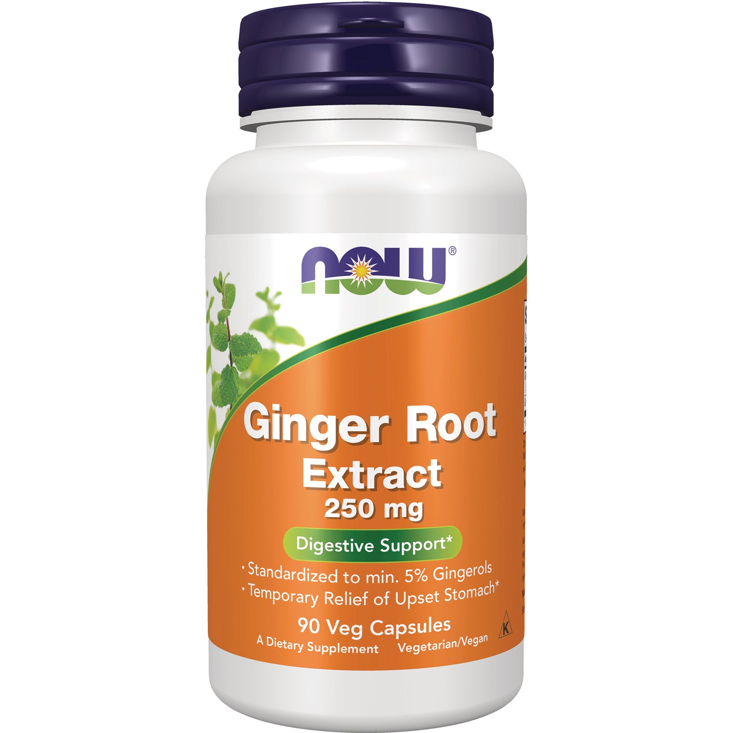 Ginger Root Extract