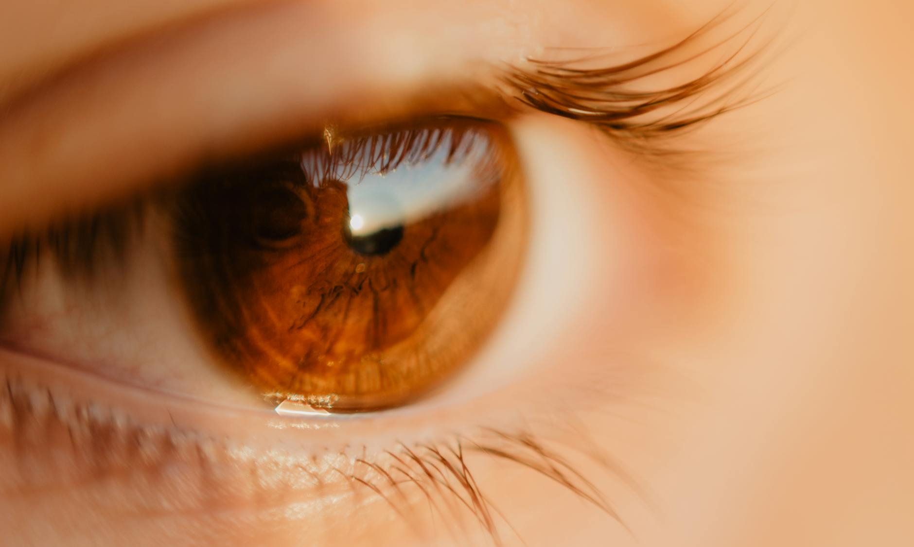 ルテインは何を補う？目の栄養をわかりやすく解説