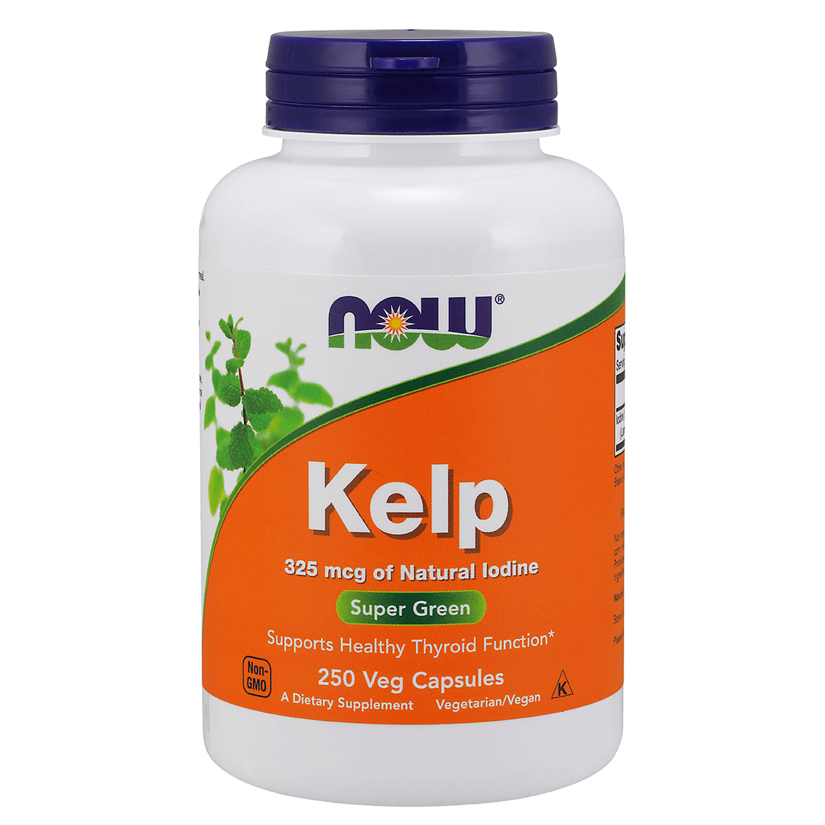 Kelp