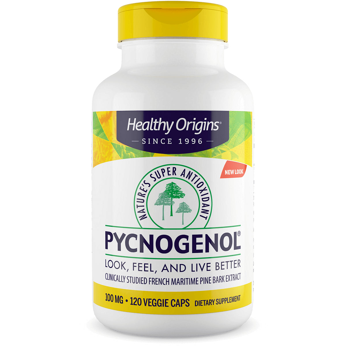 Pycnogenol