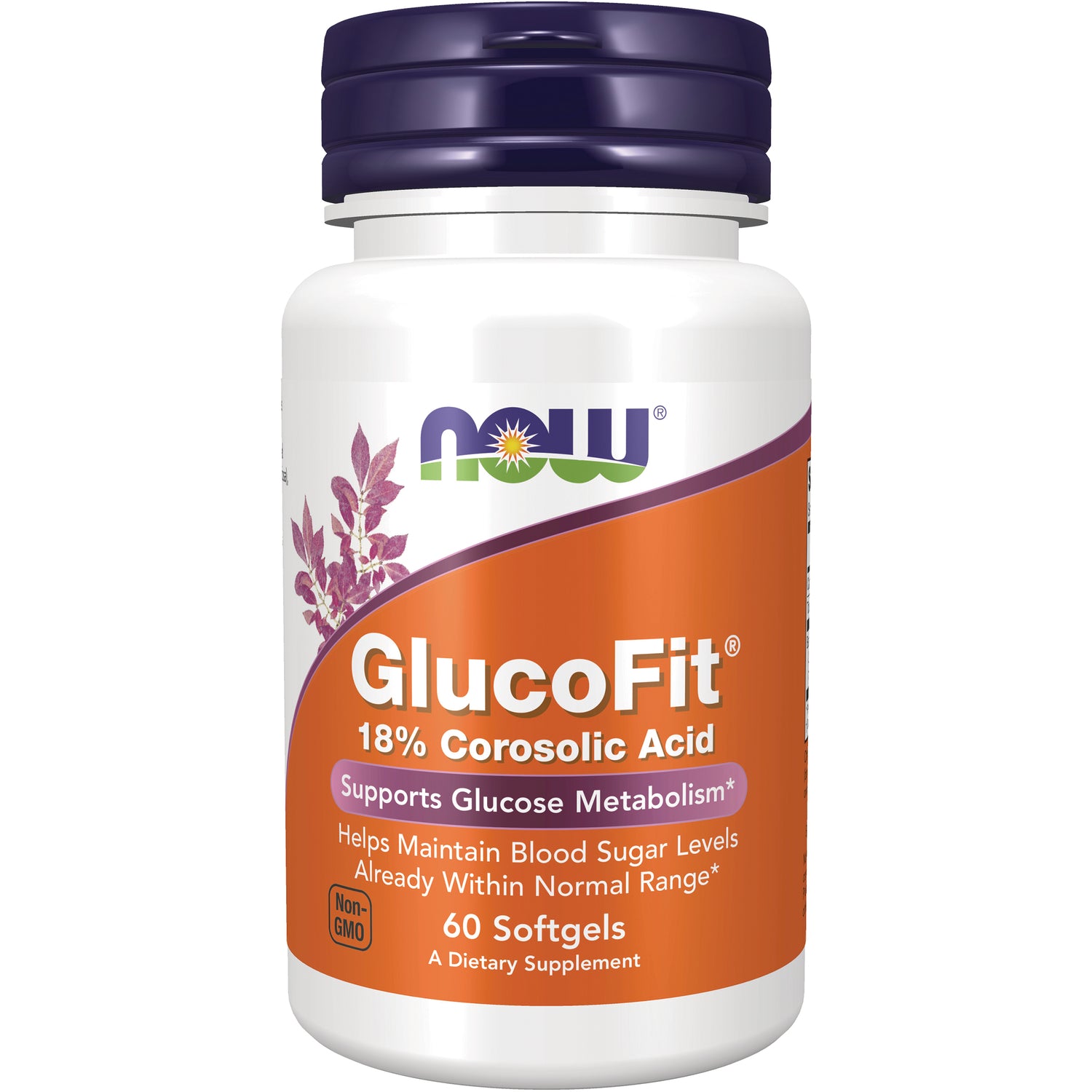 GlucoFit
