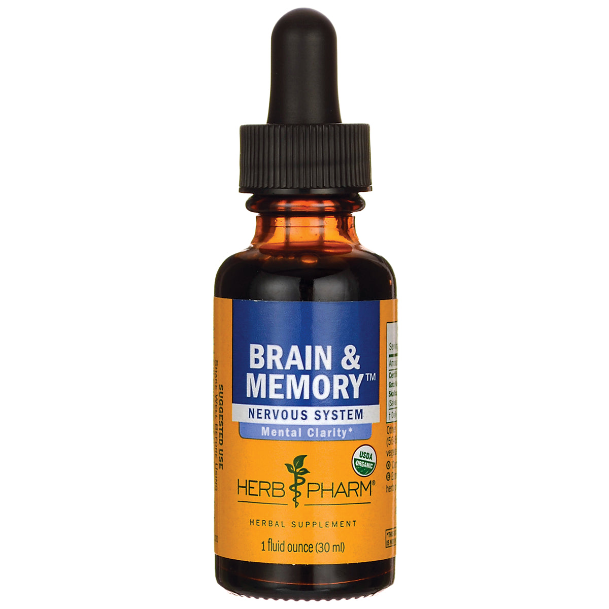 Brain & Memory
