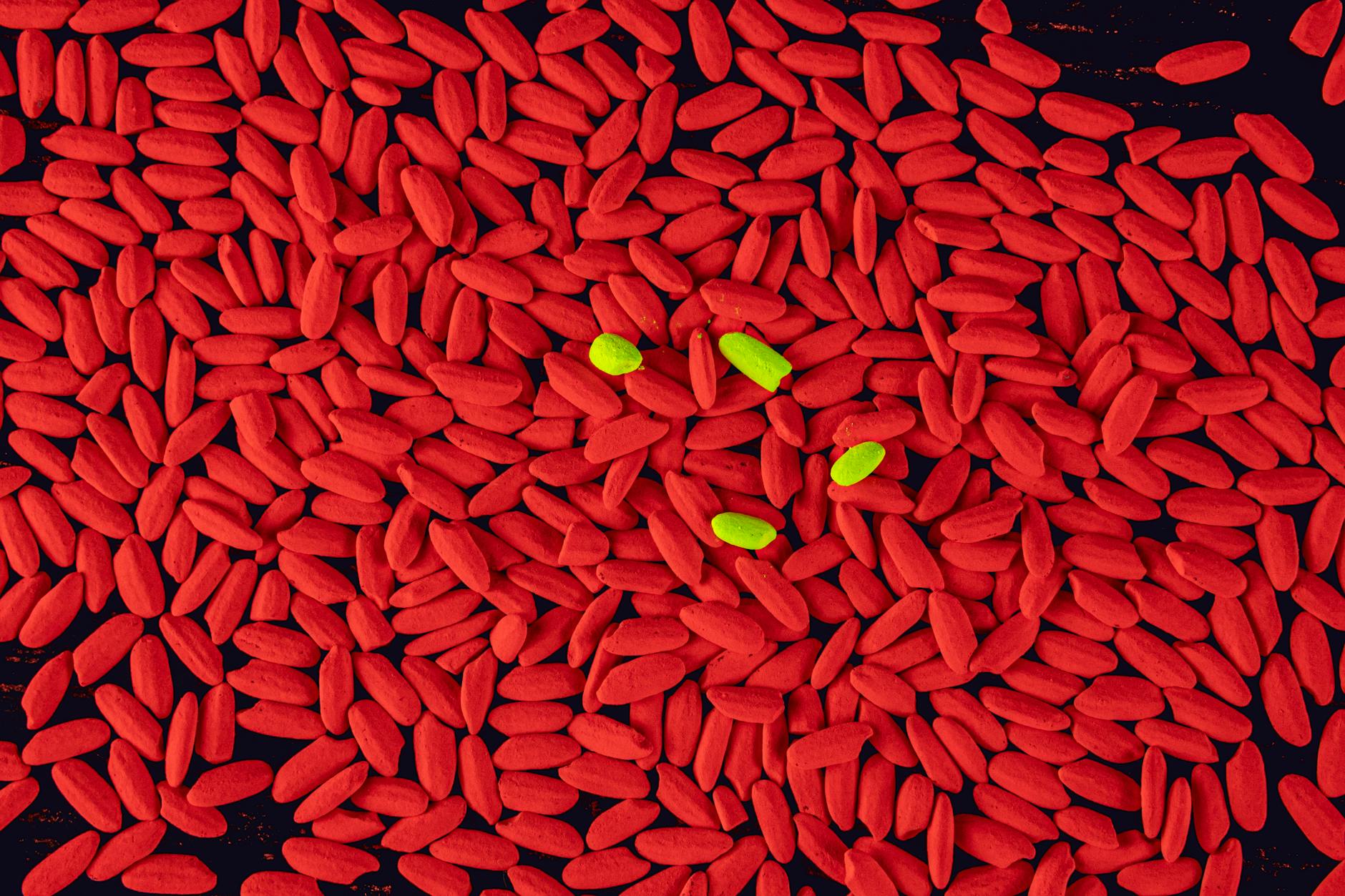 Características do arroz vermelho e cuidados de uso