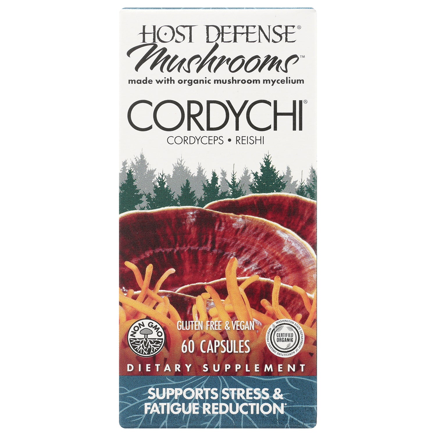 CordyChi
