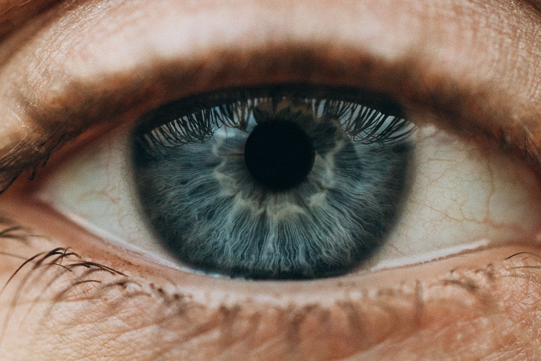Vitamina A e visão noturna: entenda a conexão com a saúde dos olhos
