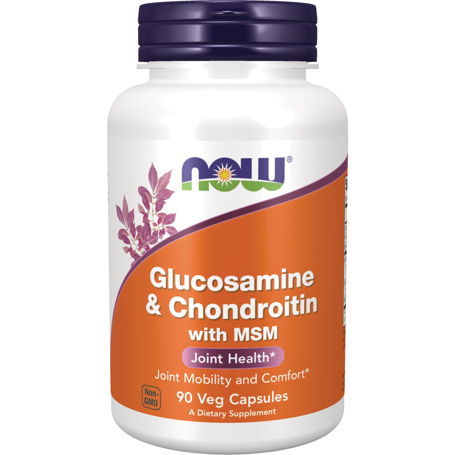 Glucosamine & Chondroitin with MSM